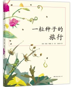 一粒种子的旅行