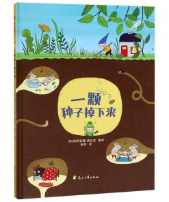 一颗种子掉下来