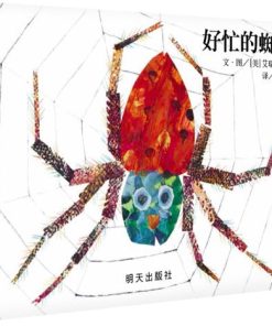 好忙的蜘蛛（纸板书）