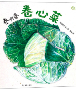 我爱蔬菜系列：卷啊卷 卷心菜