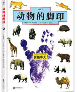 动物的脚印