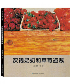 无字绘本：灰袍奶奶和草莓盗贼