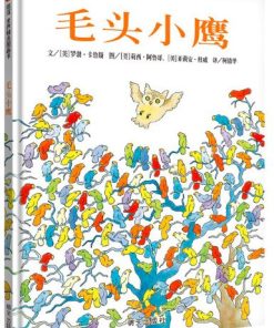 毛头小鹰