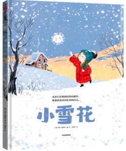 小雪花