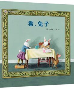 无字绘本：看，兔子