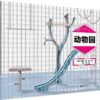 苏西·李：动物园