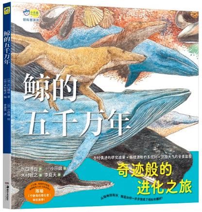 鲸的五千万年