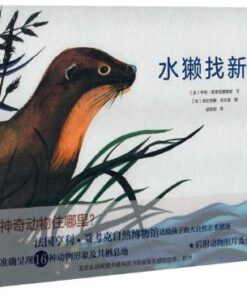 水獭找新家