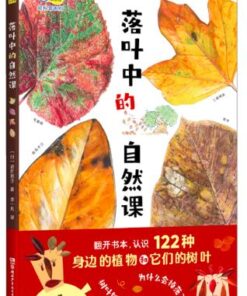 落叶中的自然课