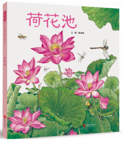 荷花池