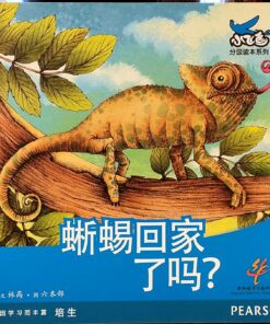 蜥蜴回家了吗？（平装）