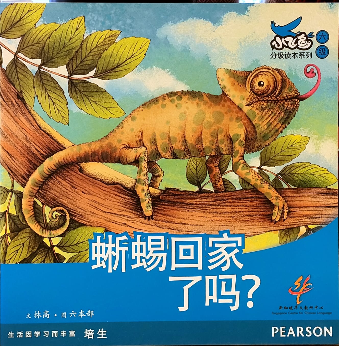 蜥蜴回家了吗?(平装)