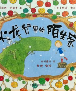 火龙谷里的陌生客（平装）