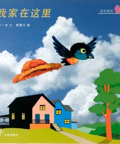 我家在这里（平装）