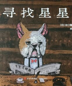 寻找星星（平装）