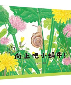 向上吧小蜗牛！