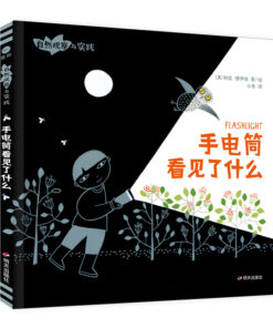 手电筒看见了什么