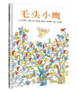 毛头小鹰