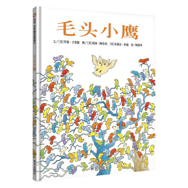 毛头小鹰